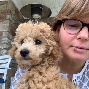 Meet your Posher, Maria